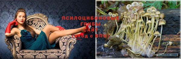 соль ск Балахна