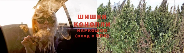 твердый Аркадак