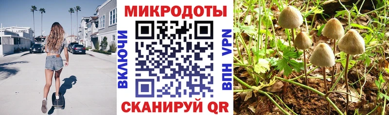 Псилоцибиновые грибы Psilocybe  Серов 